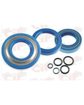 Serie paraoli motore APE FL MIX RST TM Vespa PK XL FL2 50 cc C.I.F. 6653