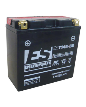 Batteria EST14B-BS 12V-12AH Yamaha FZS Fazer Bulldog FJR MT-01 XV Drag Star
