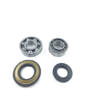 Kit revisione albero cuscinetti e paraoli motore Piaggio Ape MP 501 P601