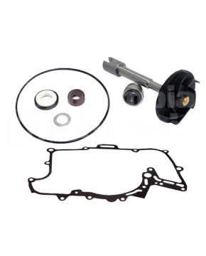 Kit Girante Pompa acqua Piaggio Beverly 400 02-06 500 06-07 X8 03-07 X9 01-02