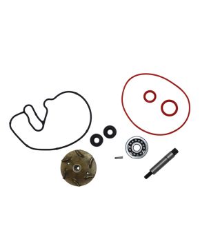 Kit revisione pompa acqua h2o Piaggio Medley 125 150 2016-2021 Magneti Marelli