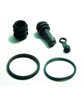 Revisione pinza freni posteriore KAWASAKI NINJA ZX9-R ER-6 Z ZR VERSYS
