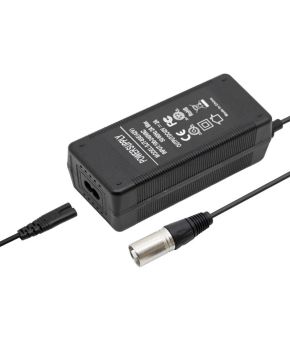 Caricabatteria E-bike 36v 2A per litio a 3 pin spina italiana