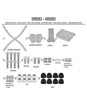 Attacco posteriore staffa portabauletto Givi Voge SR3 250 2024>