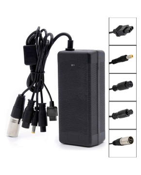 Caricabatterie monopattino 48-54.6V 2AH connettore GX16/GX12/DC5.5mm/XLR/NIU