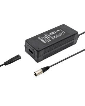 Caricabatteria E-bike 48V 2A per litio a 3 pin spina italiana