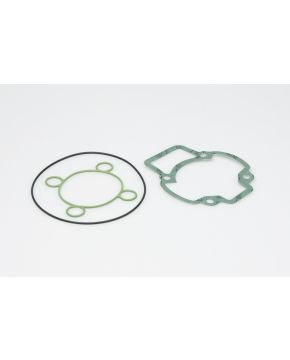 Set guarnizioni per gruppo termico diametro 40 - 47 - 47,6 H2O Malossi 117438C