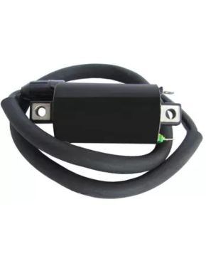 Bobina di accensione DZE 12v 4,0 OHM APRILIA DUCATI KYMCO GUZZI SUZUKI YAMAHA