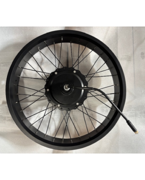 Kit ruota posteriore bici 20X4 FAT EBIKE motore 48v 250w e attacco freno a disco