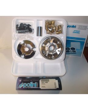 variatore pgo big max