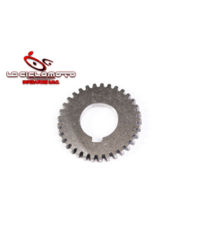 ingranaggio pompa olio piaggio px t5 cosa