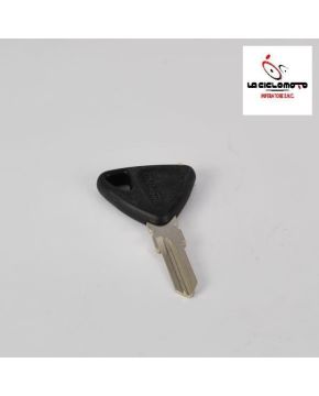 chiave grezza password 250