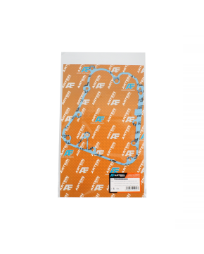 guarnizione carter volano people 250 00124945