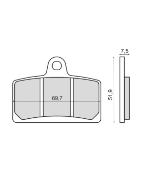 Coppia pastiglie freno