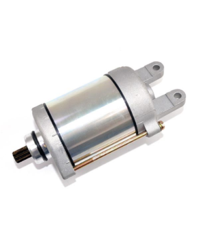 motorino di avviamento 200 300 350