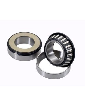 cuscinetti sterzo + paraoli xr 250 500 79/80