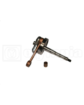 albero motore si spinotto 10