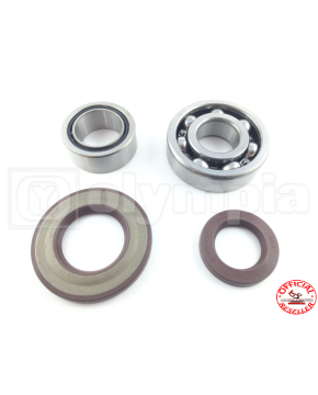 kit revisione albero motore ape tm 602 703