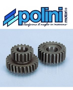 ingranaggi suzuki cp 50 polini