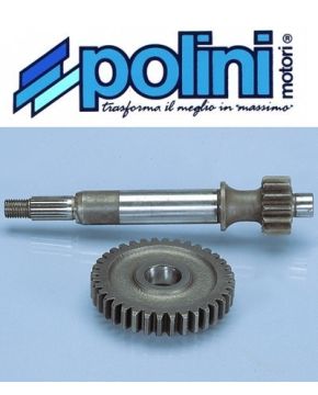 ingranaggi primari cagiva city 50 polini