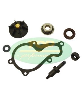 Kit revisione pompa acqua Piaggio Beverly MP3 MAXI SPORT X10 350 cc