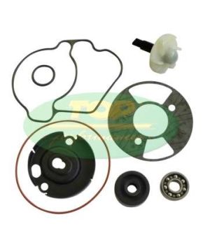 Kit revisione pompa acqua Yamaha Xenter 125/150 cc