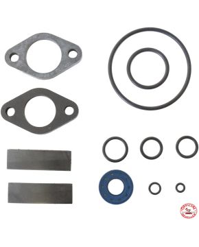 serie paraoli motore ducati scrambler 250 350