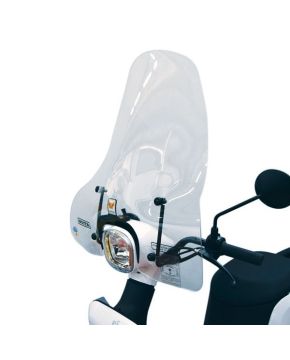 Parabrezza Classic Paravento ASKOLL ES1 ES2 ES3 con attacchi ISOTTA CLS4231N