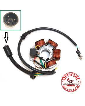 Statore magnete completo Piaggio Ape 50 3 fili