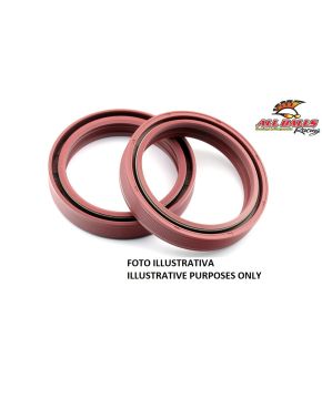 Set coppia paraoli steli forcella 41 x 53 x 8/10,5 all balls 55-117