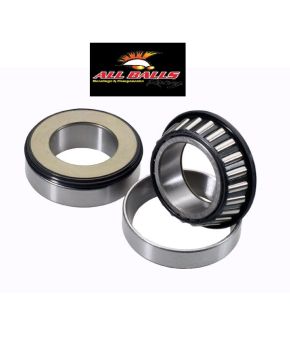 cuscinetti sterzo + paraoli honda