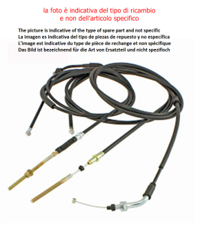 trasmissione gas ovetto neo's