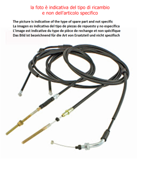 Trasmissione gas Piaggio Free 50-100 cc